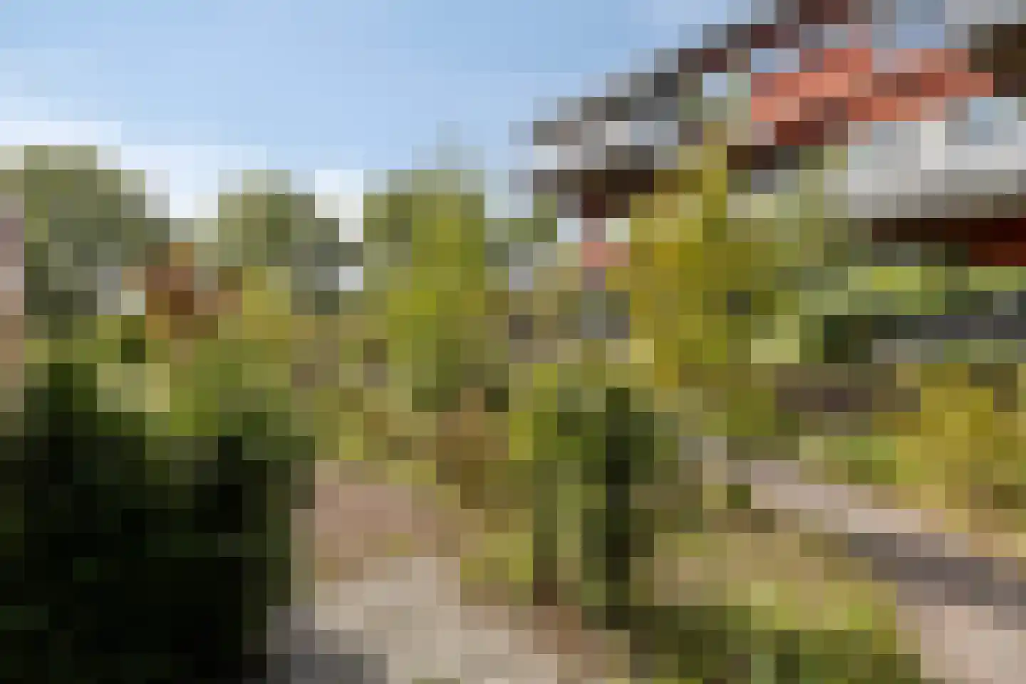 Watersniphof 4 Middelburg thumbnail 30