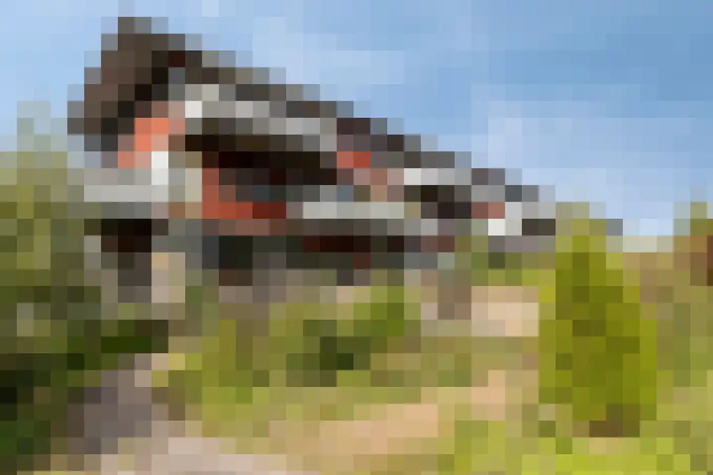 Watersniphof 4 Middelburg thumbnail 32