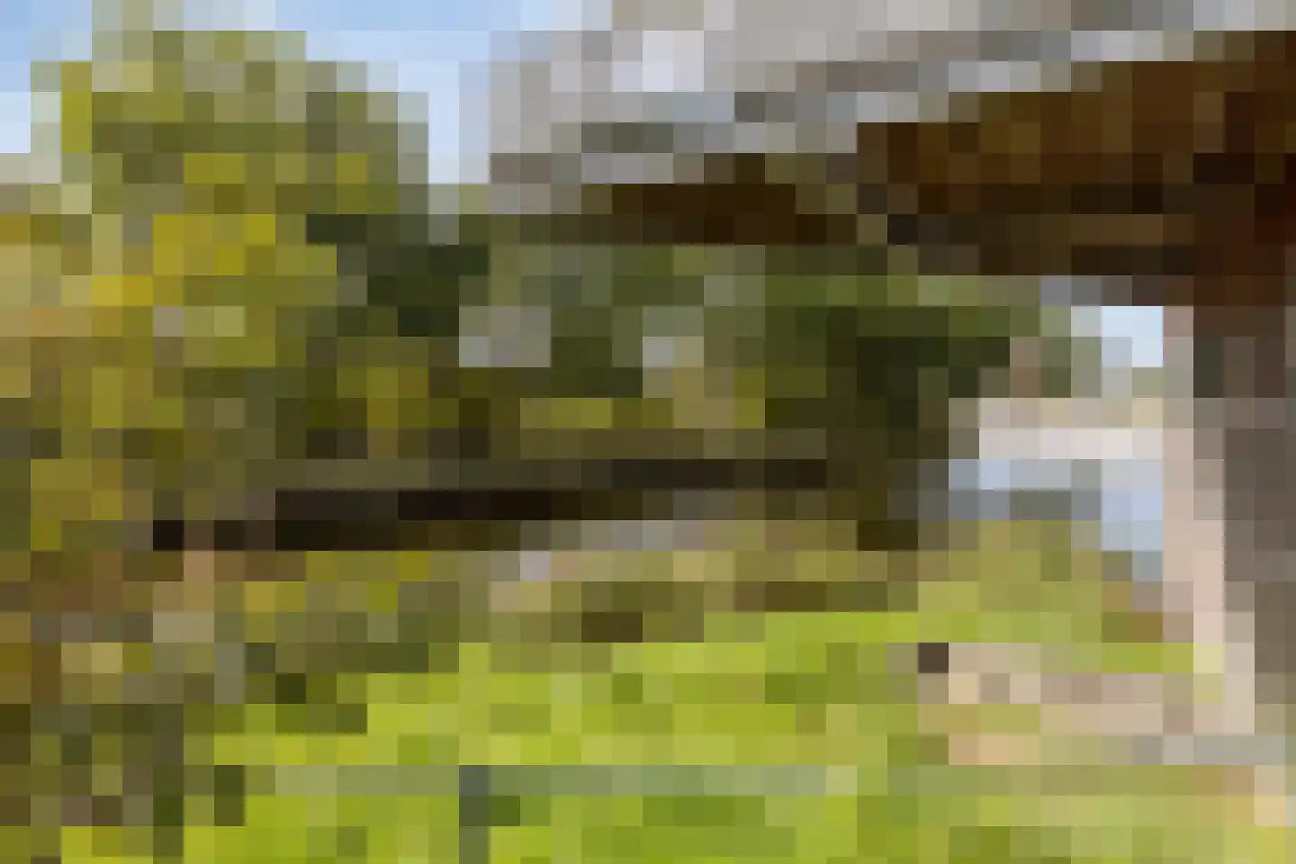 Watersniphof 4 Middelburg thumbnail 33
