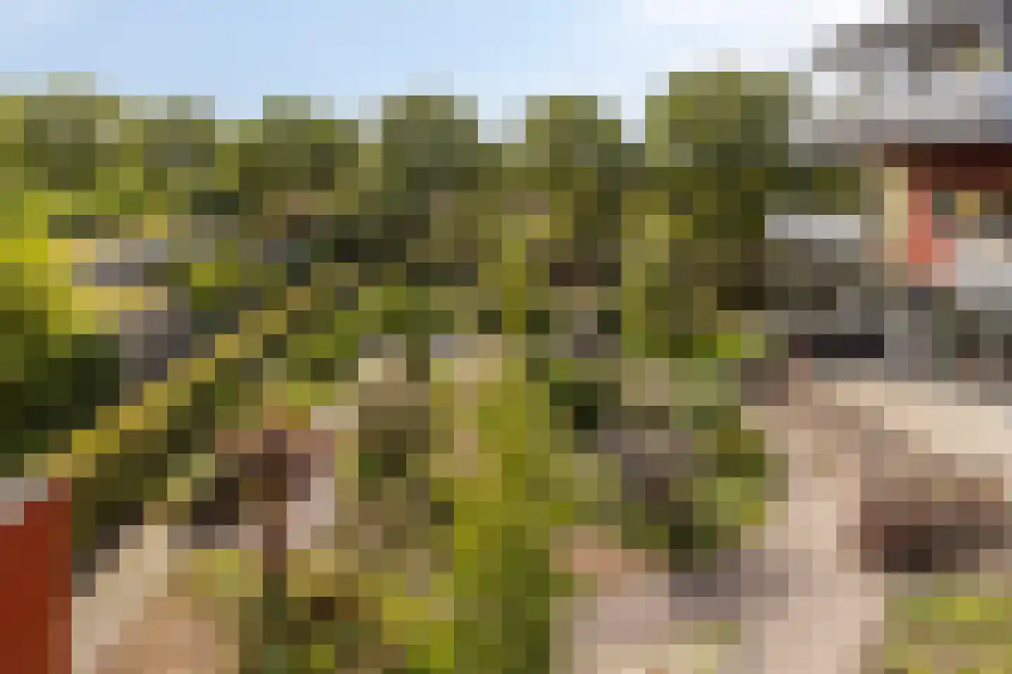 Watersniphof 4 Middelburg thumbnail 34