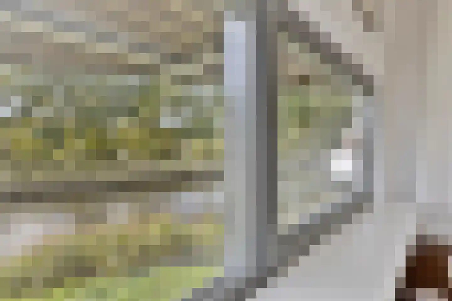 Watersniphof 4 Middelburg thumbnail 8