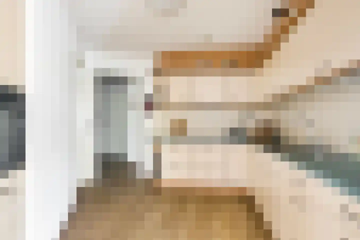Watersniphof 4 Middelburg thumbnail 8