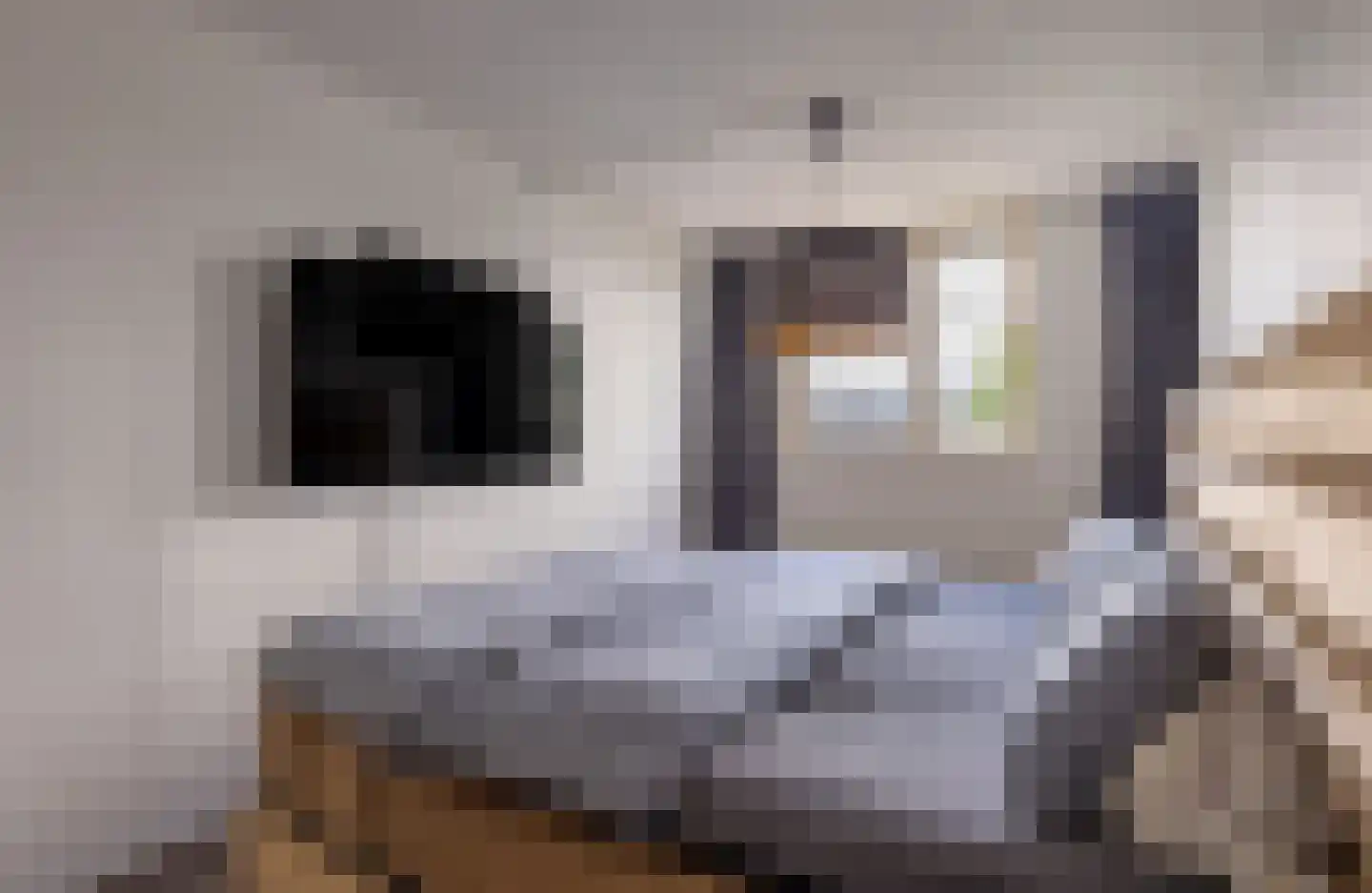 Watersniphof 42 Zwolle thumbnail 30