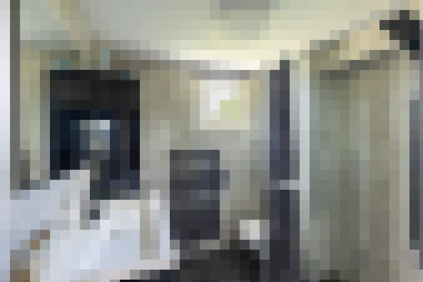Watersniphof 42 Zwolle thumbnail 33