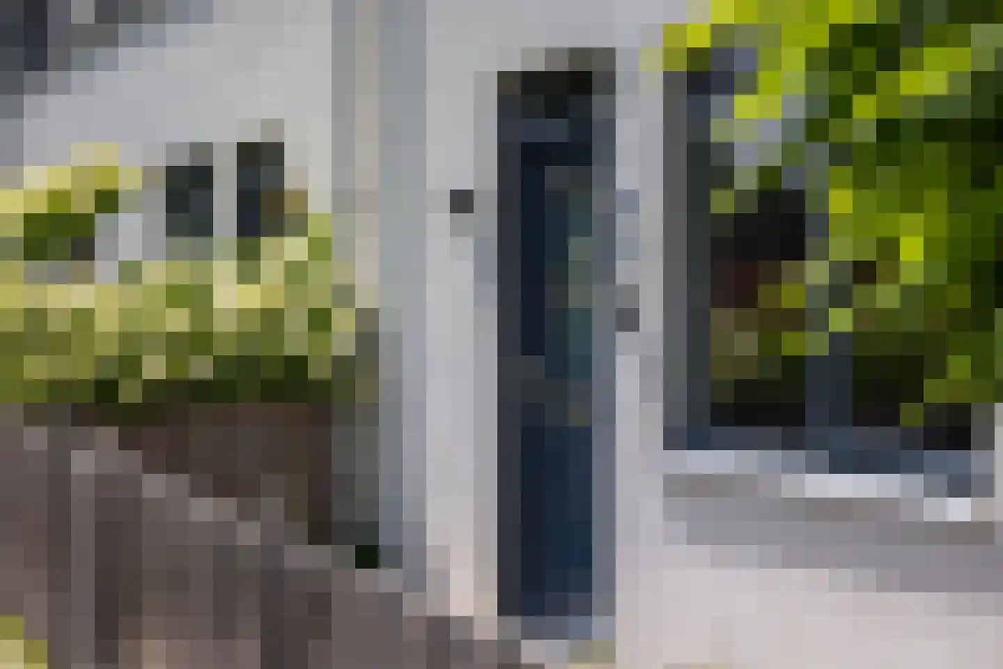 Watersniphof 42 Zwolle thumbnail 37