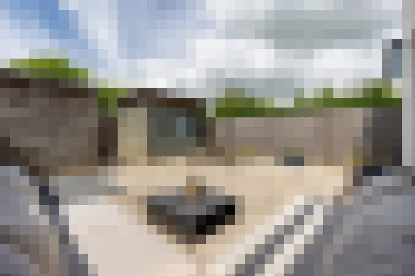 Watersniphof 42 Zwolle thumbnail 42