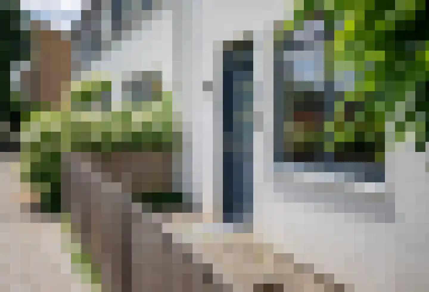 Watersniphof 42 Zwolle thumbnail 48