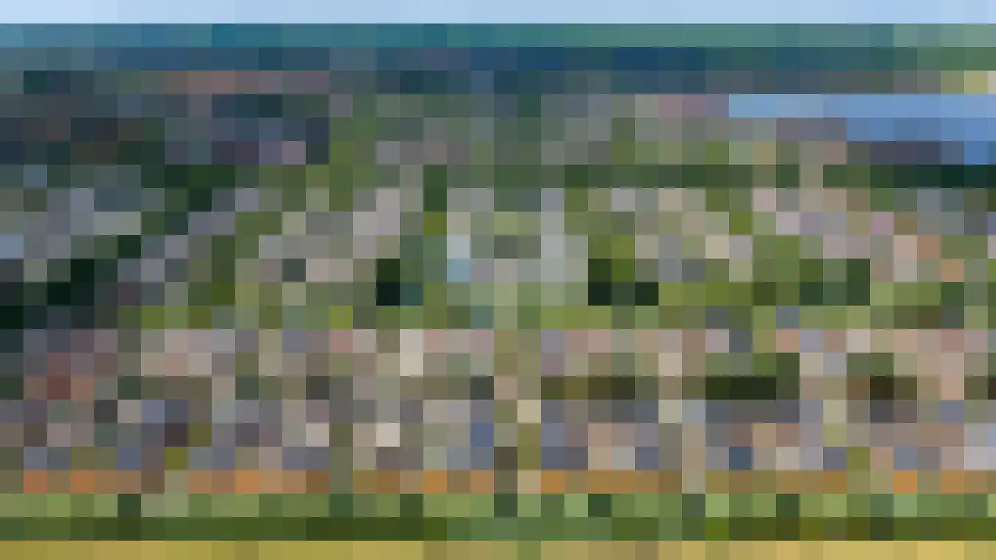 Watersniphof 42 Zwolle thumbnail 58