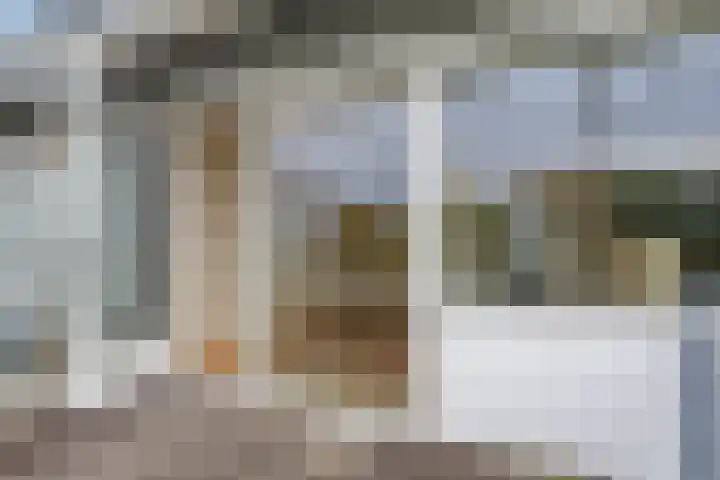 Watersniphof 70 Middelburg thumbnail 13