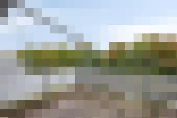 Watersniphof 70 Middelburg thumbnail 14