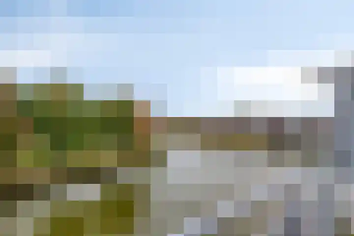 Watersniphof 70 Middelburg thumbnail 15