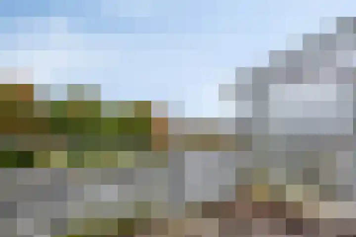 Watersniphof 70 Middelburg thumbnail 16