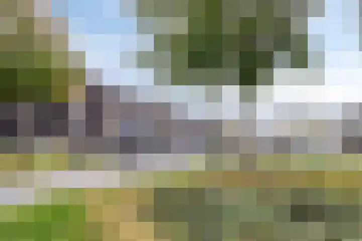Watersniphof 70 Middelburg thumbnail 28