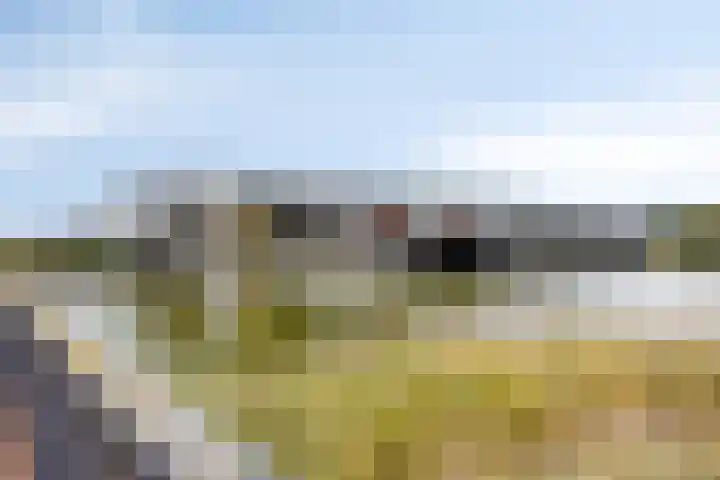 Watersniphof 70 Middelburg thumbnail 30