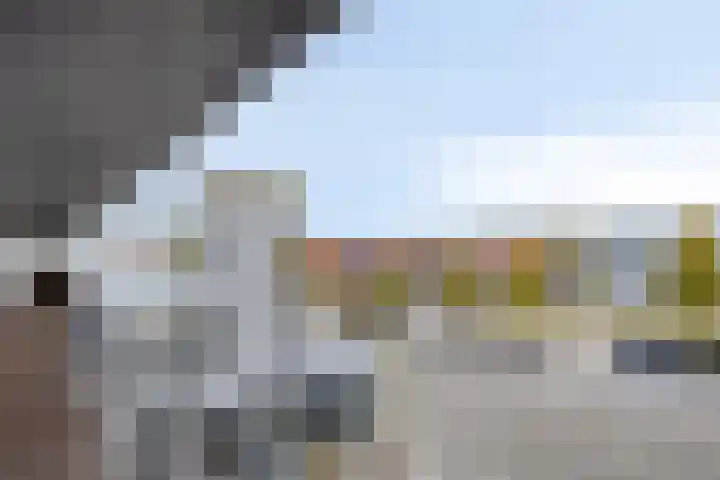 Watersniphof 70 Middelburg thumbnail 4