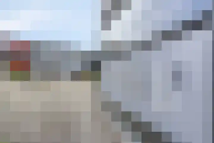 Watersniphof 70 Middelburg thumbnail 5