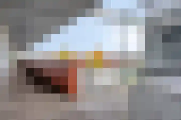 Watersniphof 70 Middelburg thumbnail 7