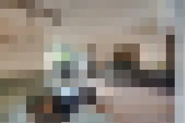 Watersniplaan 17 Landsmeer thumbnail 13