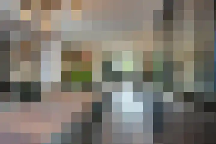Watersniplaan 17 Landsmeer thumbnail 18