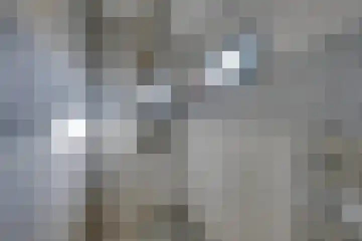 Watersniplaan 17 Landsmeer thumbnail 47