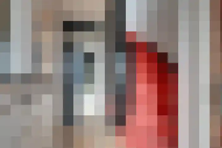 Watersniplaan 17 Landsmeer thumbnail 7