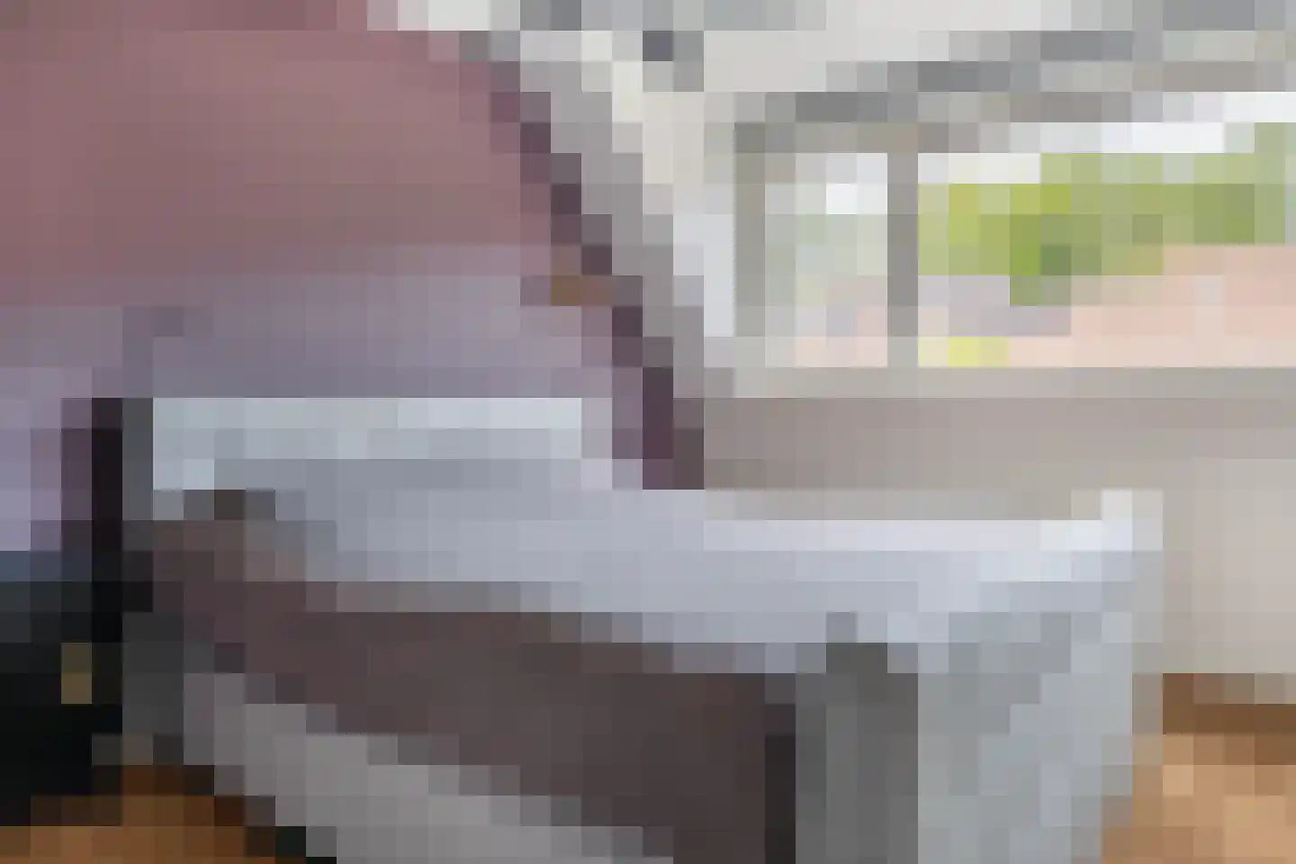 Watersniplaan 20 Lekkerkerk thumbnail 16