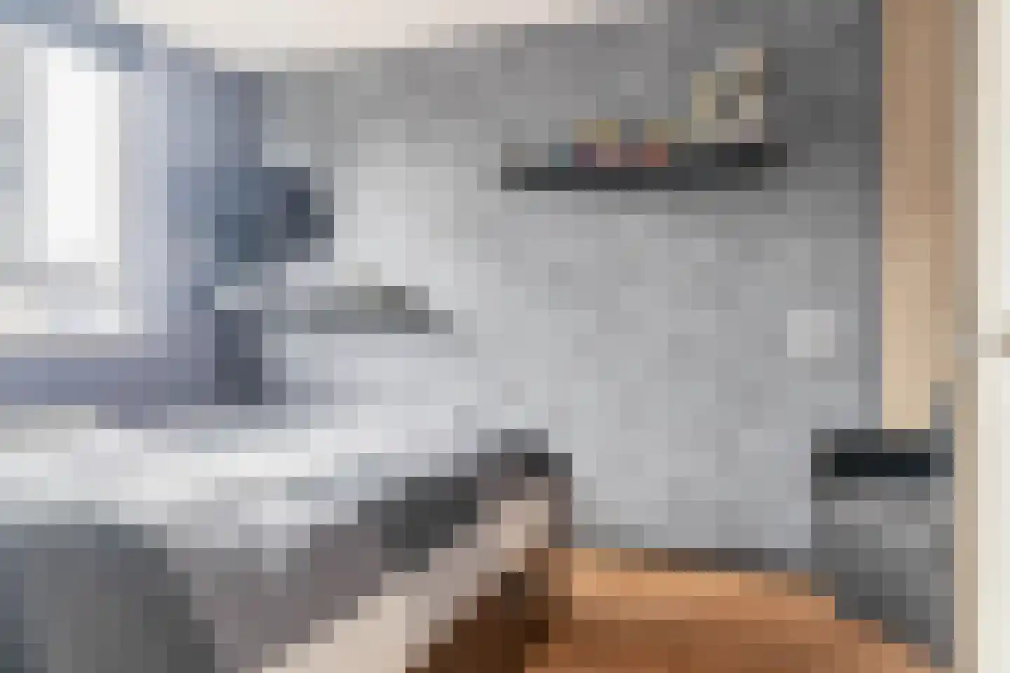 Watersniplaan 20 Lekkerkerk thumbnail 21
