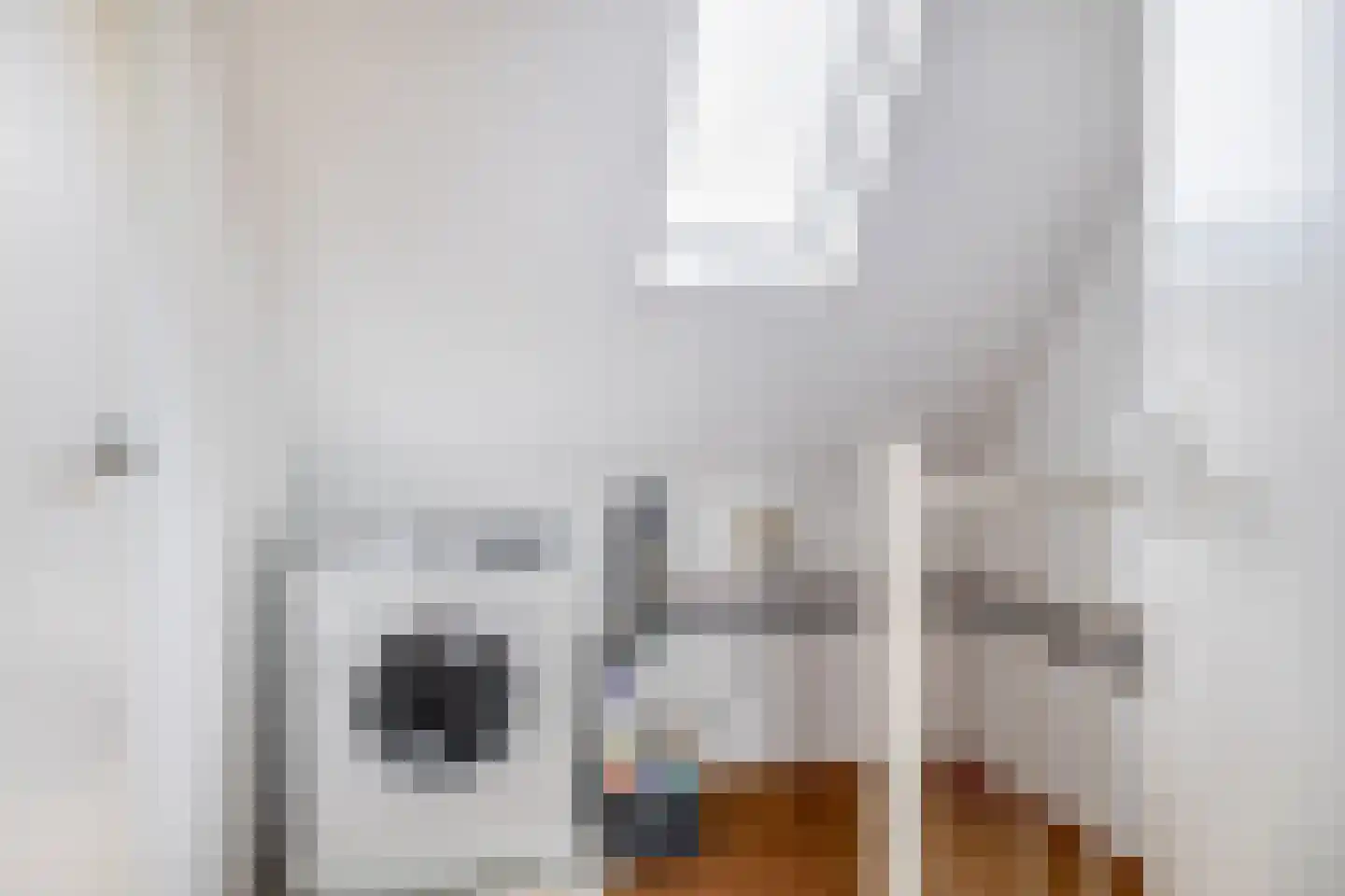 Watersniplaan 20 Lekkerkerk thumbnail 29