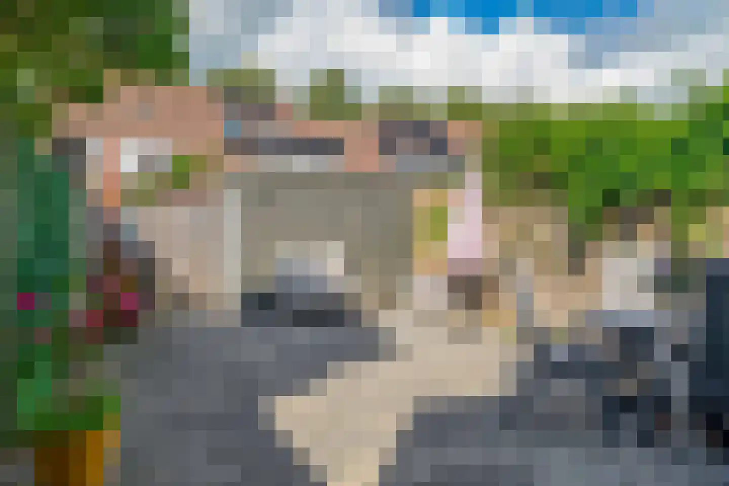 Watersniplaan 20 Lekkerkerk thumbnail 32