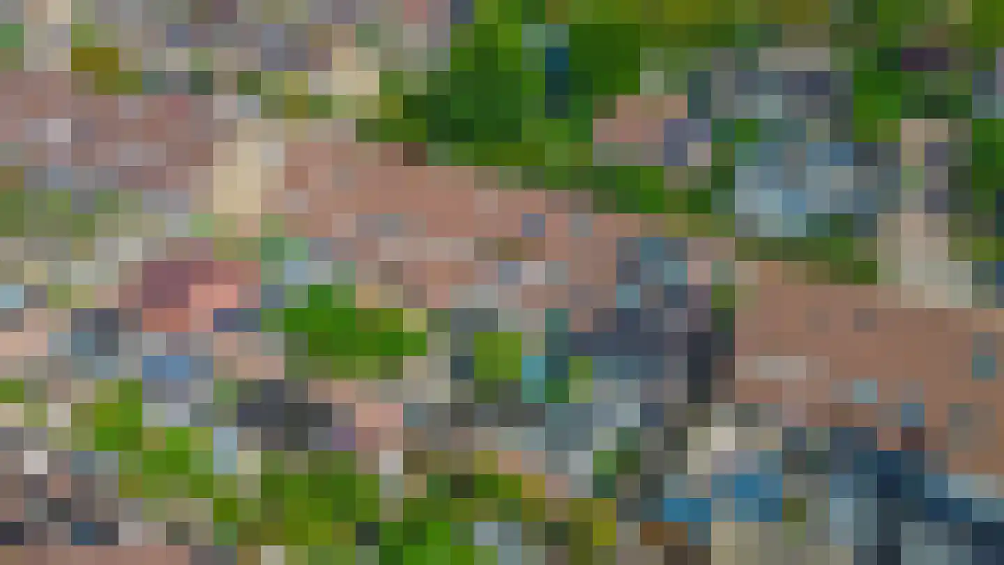 Watersniplaan 20 Lekkerkerk thumbnail 38