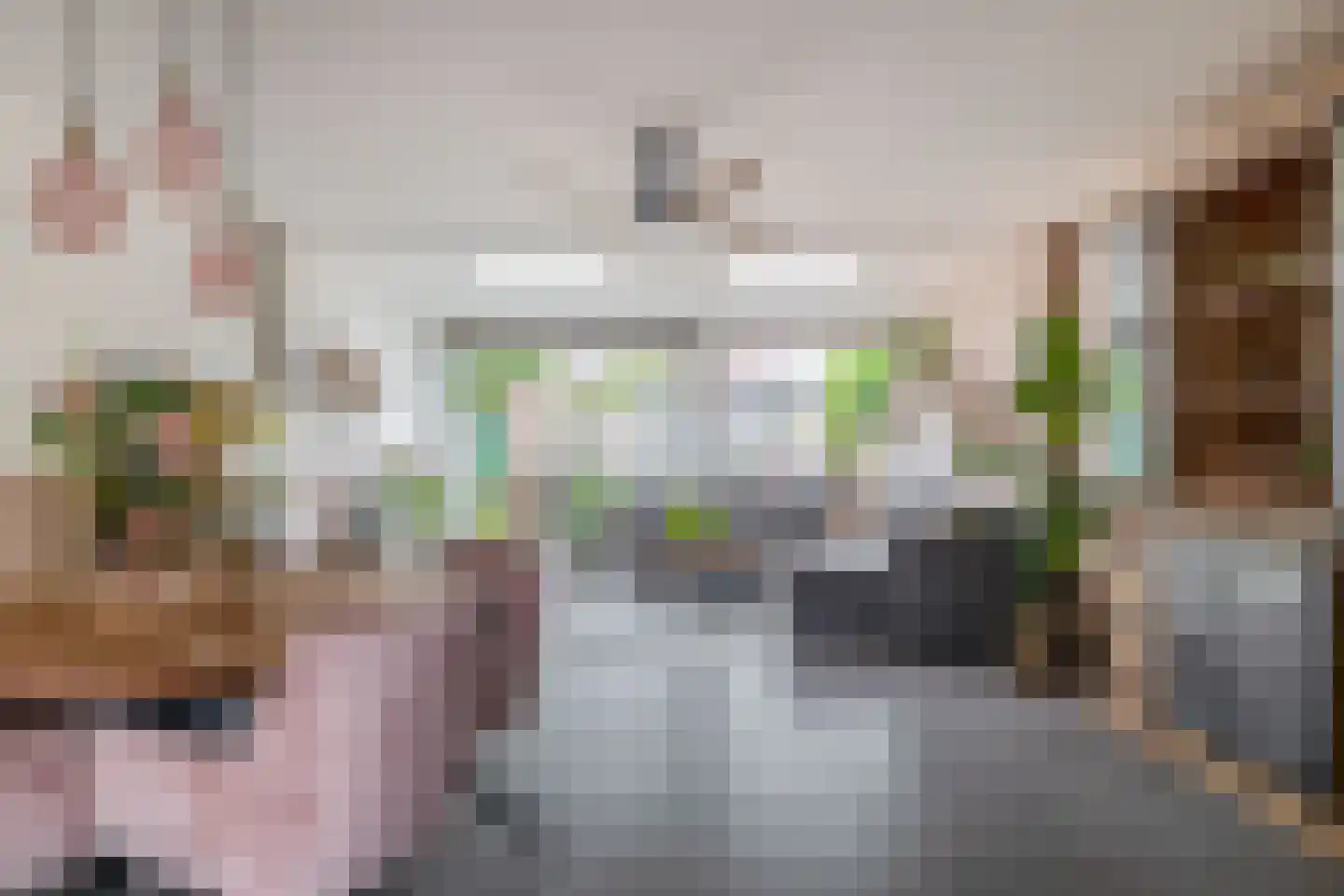 Watersniplaan 20 Lekkerkerk thumbnail 8