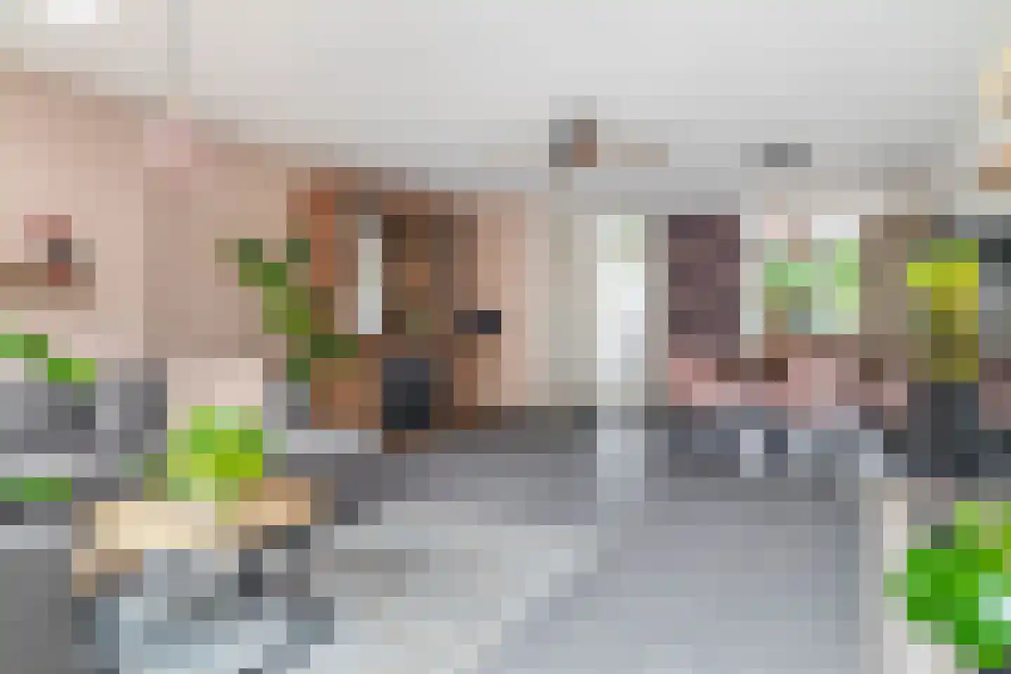 Watersniplaan 20 Lekkerkerk thumbnail 9