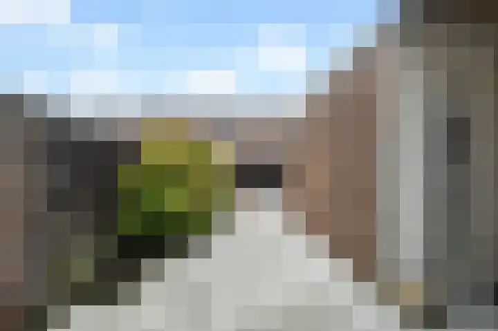 Watersniplaan 25 Landsmeer thumbnail 18