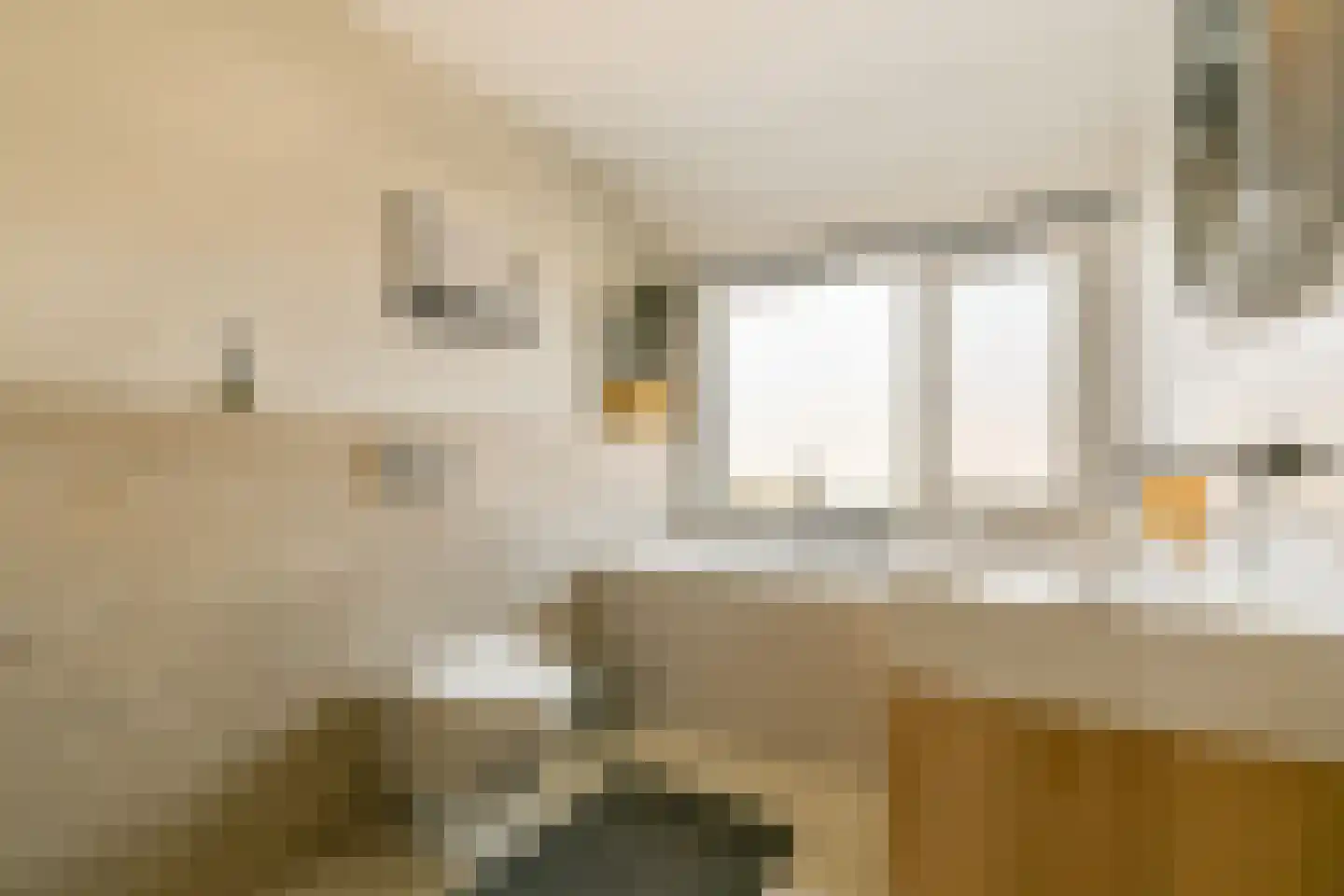 Watersniplaan 3 Landsmeer thumbnail 14