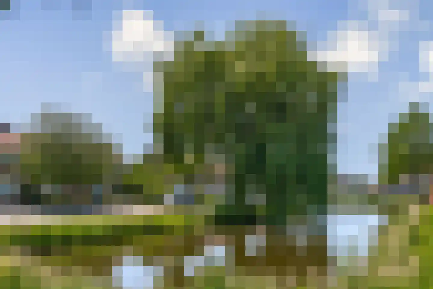 Watersniplaan 3 Landsmeer thumbnail 24