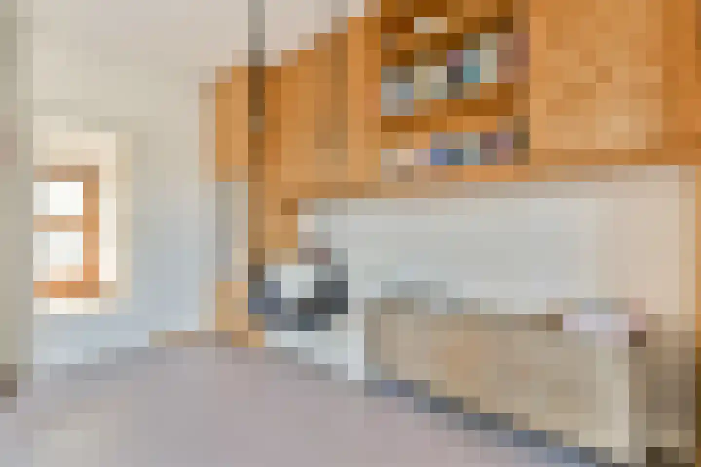 Watersniplaan 3 Landsmeer thumbnail 7