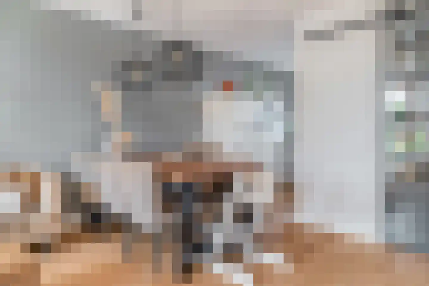 Watersniplaan 37 Lekkerkerk thumbnail 16