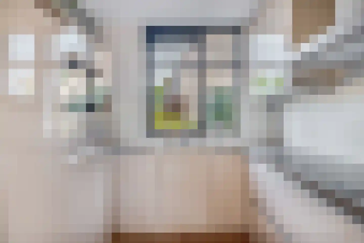 Watersniplaan 37 Lekkerkerk thumbnail 17