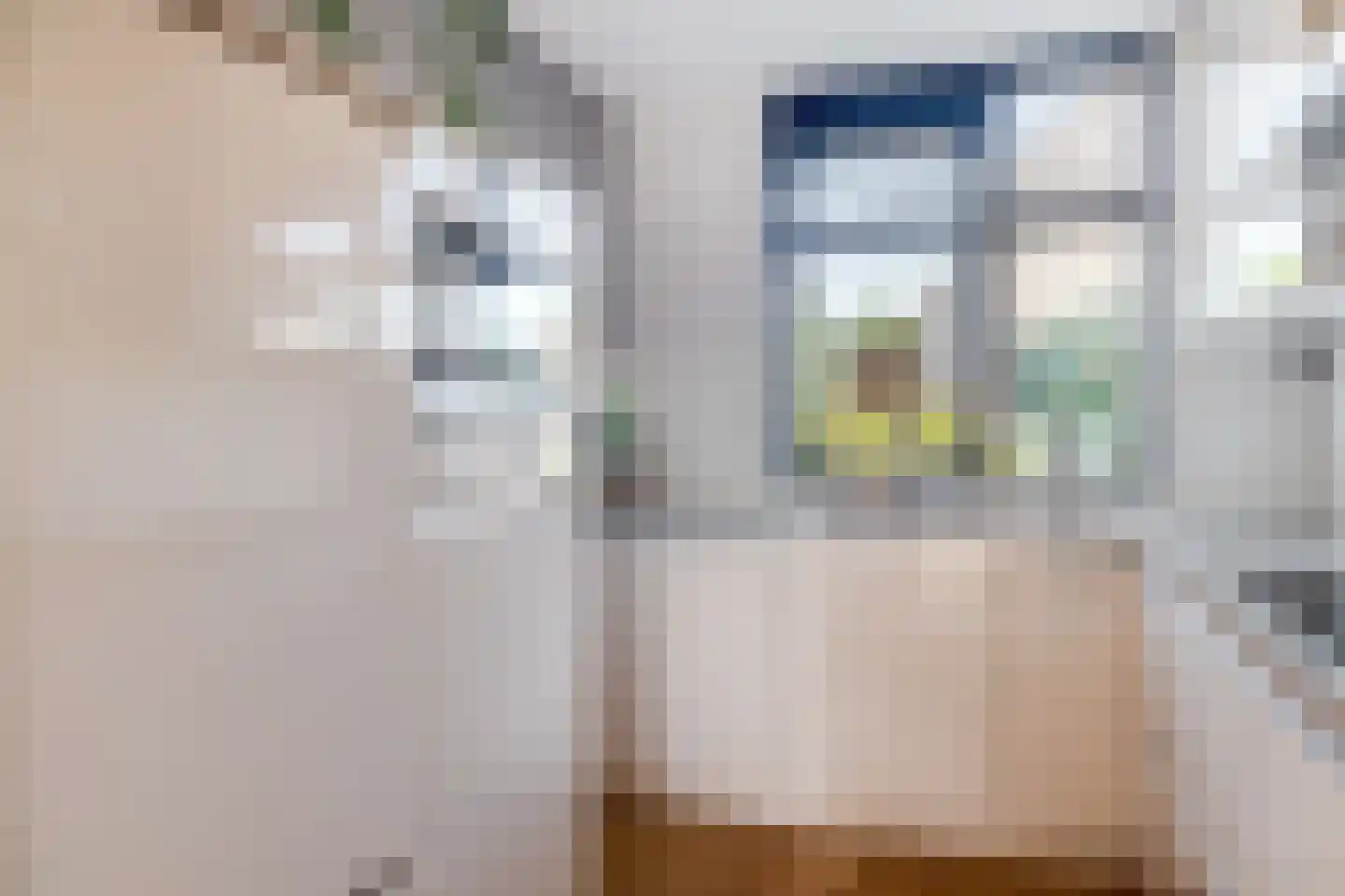 Watersniplaan 37 Lekkerkerk thumbnail 18