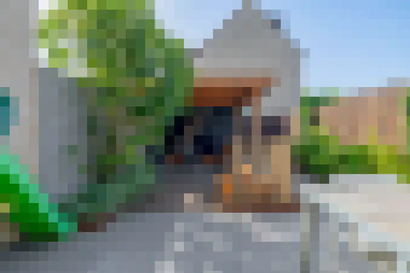Watersniplaan 37 Lekkerkerk thumbnail 22