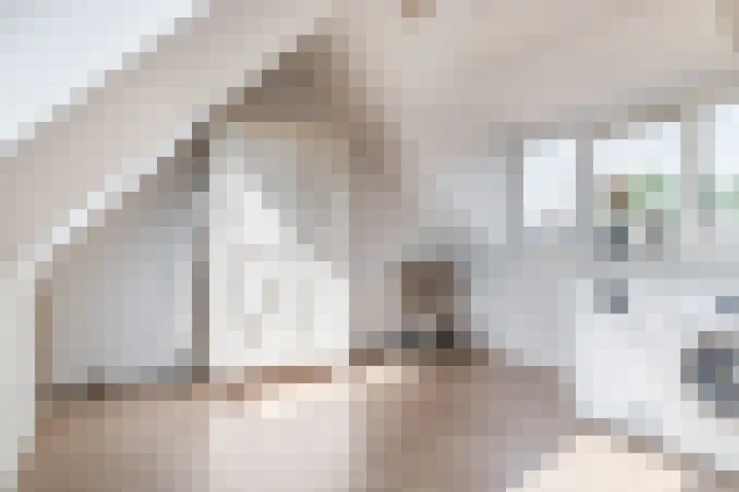 Watersniplaan 37 Lekkerkerk thumbnail 34