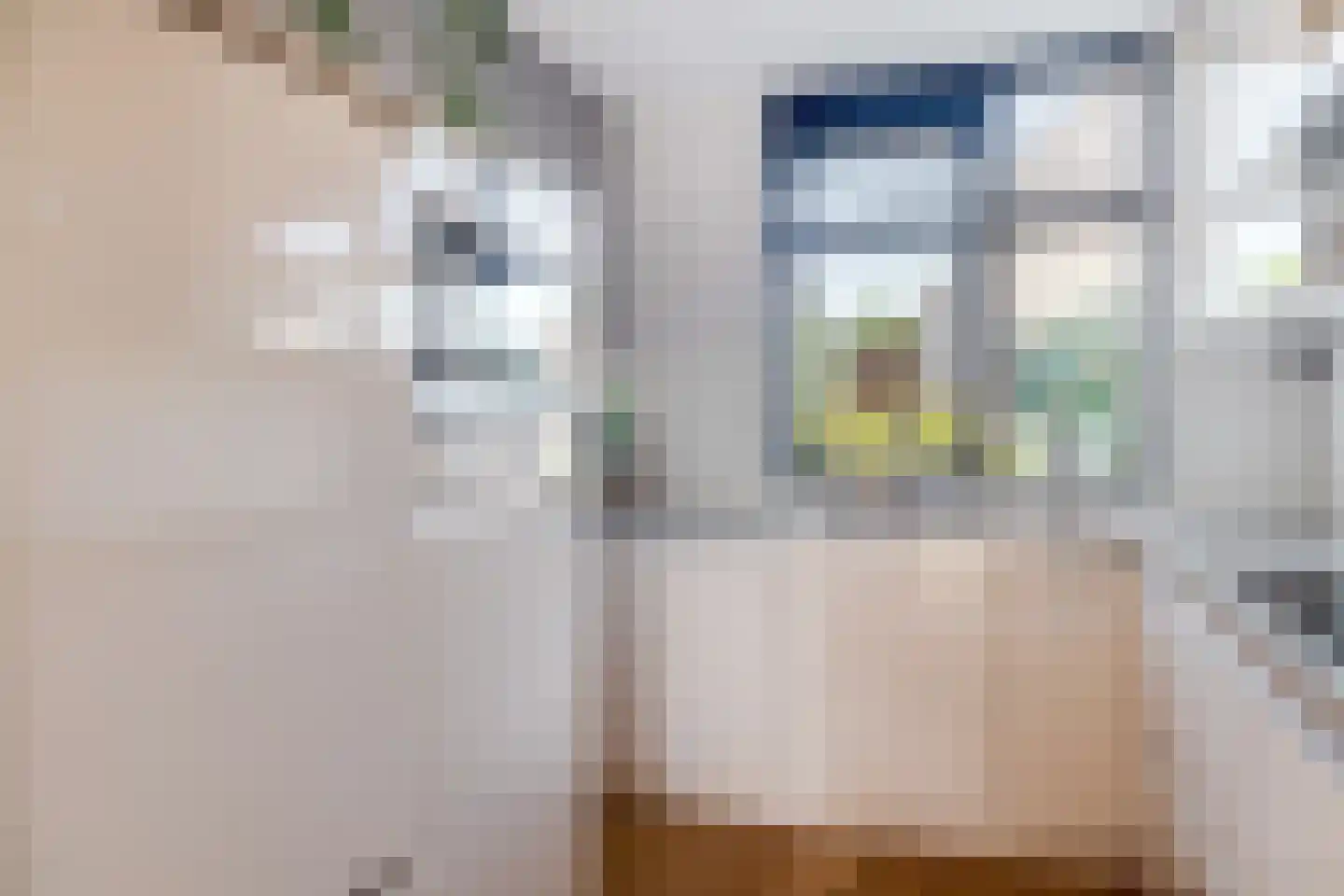 Watersniplaan 37 Lekkerkerk thumbnail 4