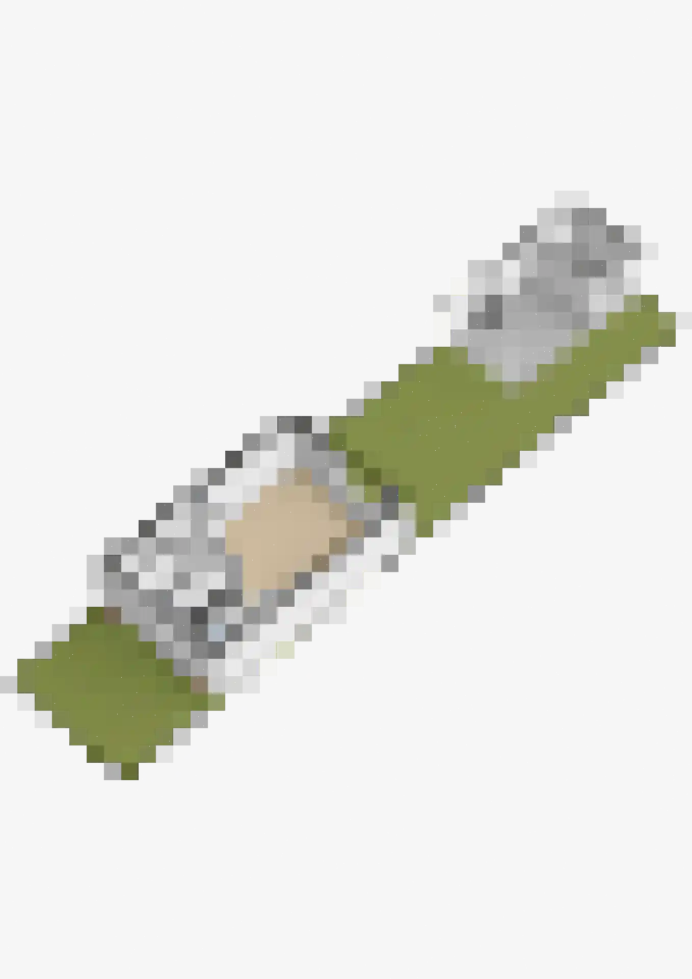Watersniplaan 37 Lekkerkerk thumbnail 46