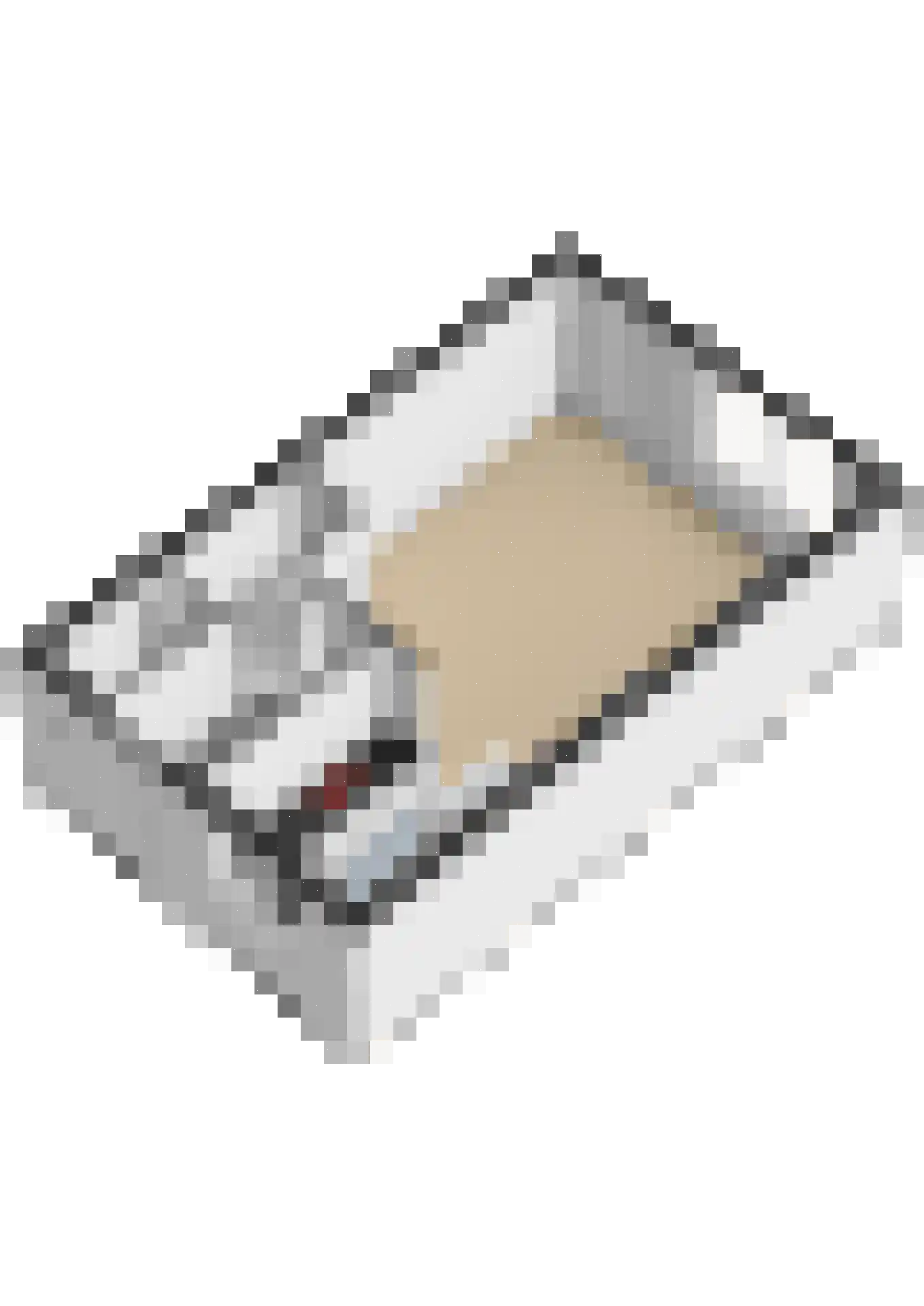 Watersniplaan 37 Lekkerkerk thumbnail 48