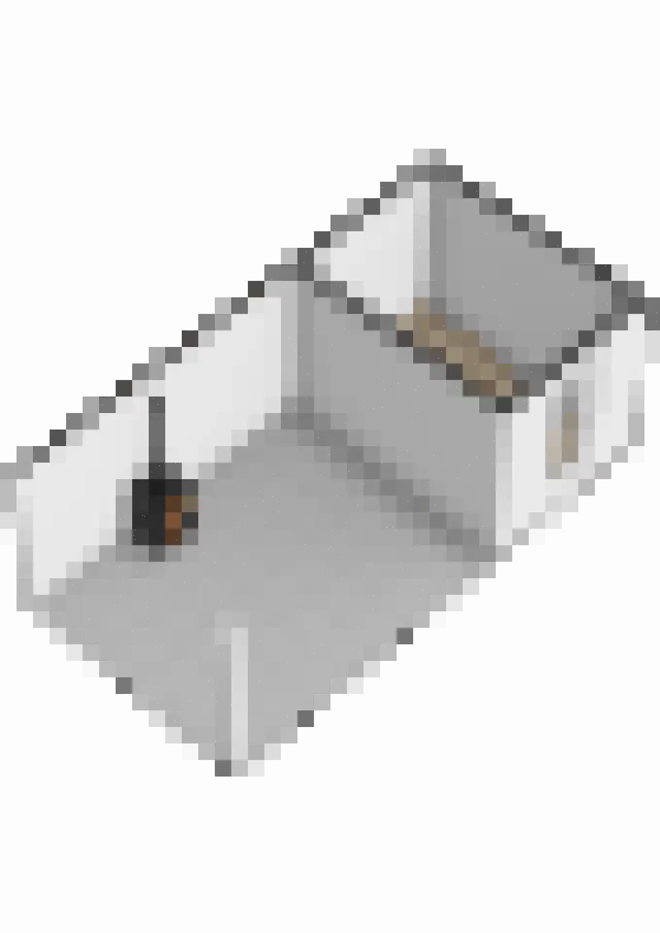 Watersniplaan 37 Lekkerkerk thumbnail 54