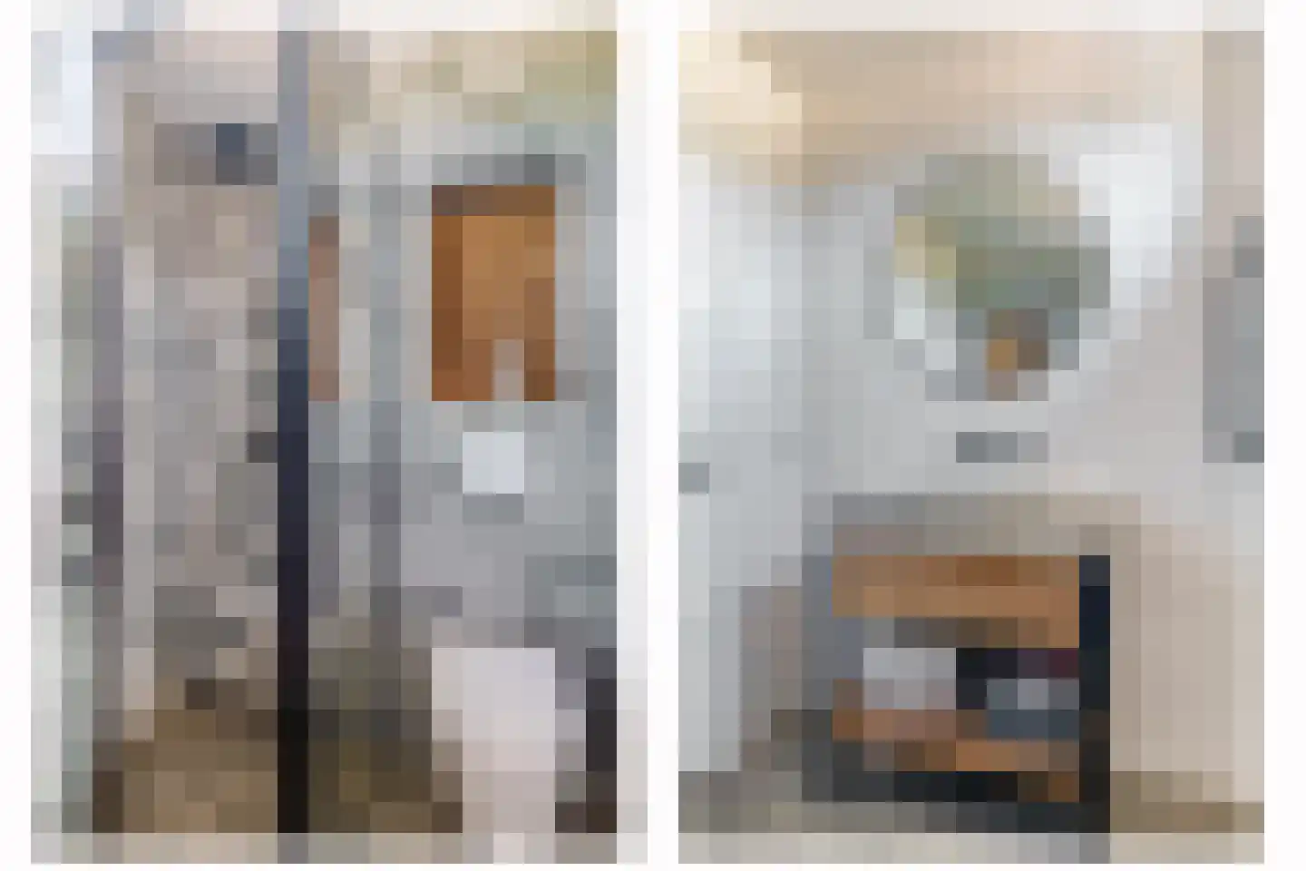 Watersniplaan 37 Lekkerkerk thumbnail 6