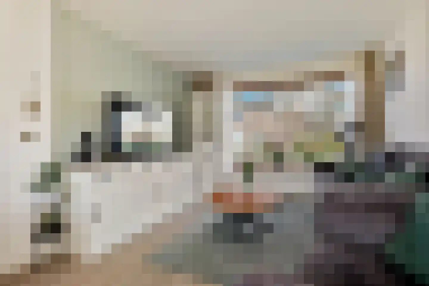Watersniplaan 4 Landsmeer thumbnail 4