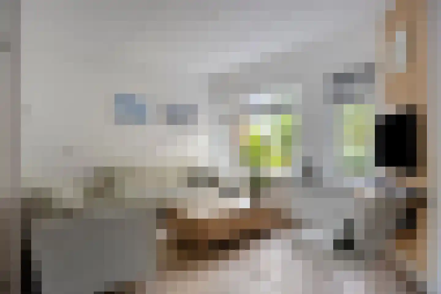 Watersniplaan 6 Alkmaar thumbnail 11