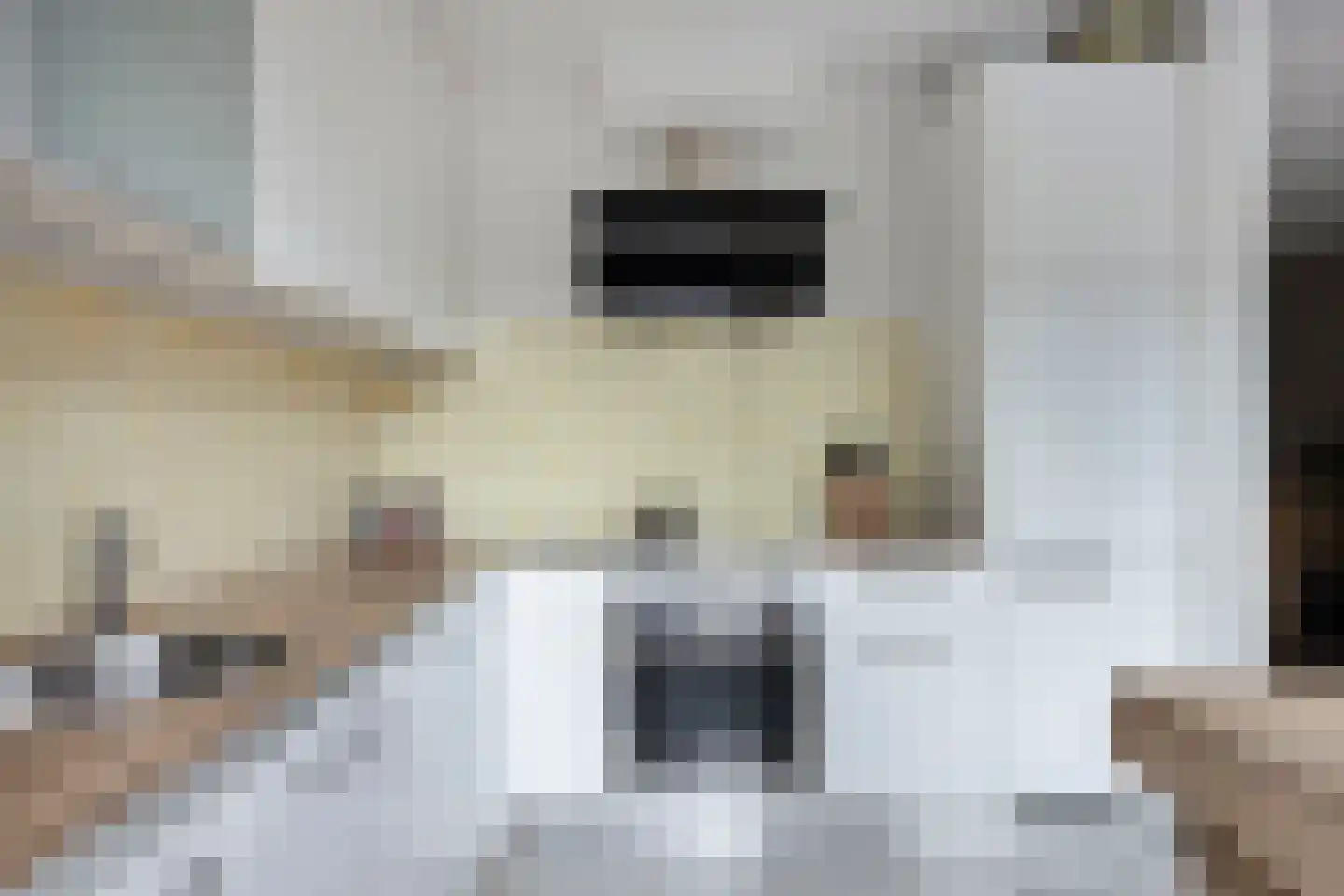 Watersniplaan 6 Alkmaar thumbnail 18
