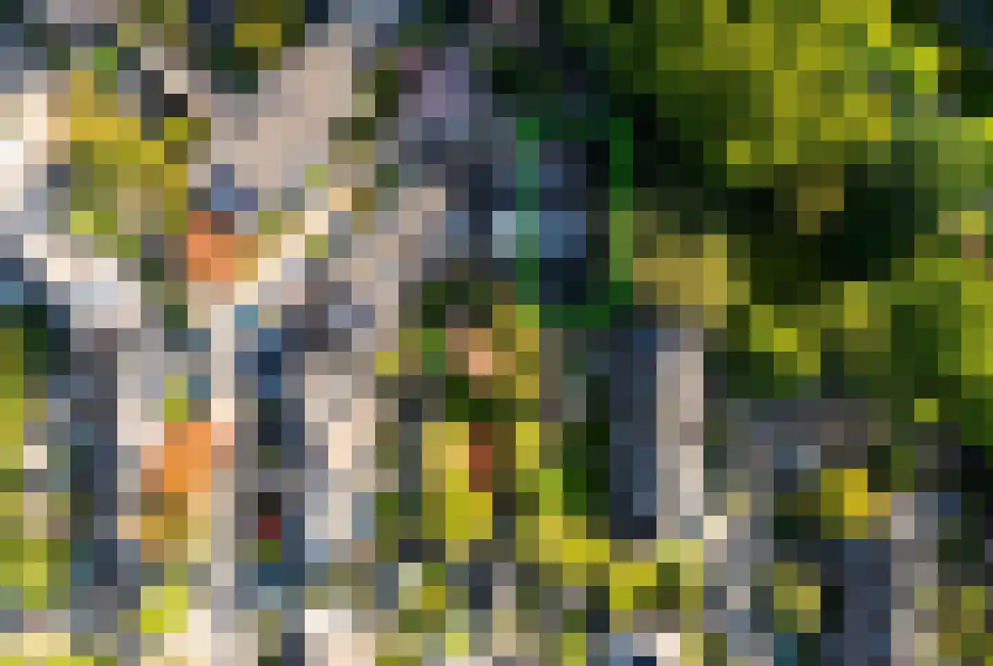 Watersniplaan 6 Alkmaar thumbnail 35
